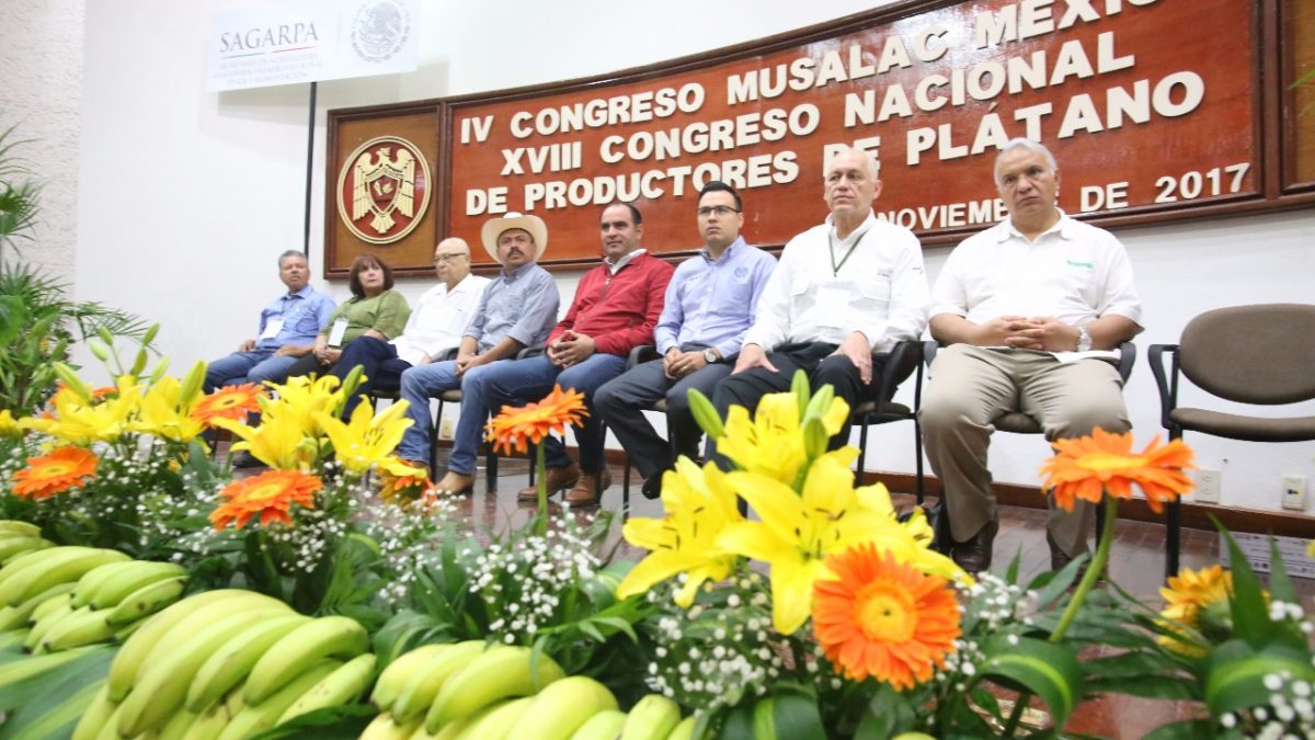 IV Congreso Latinoamericano y del Caribe de Plátanos y Bananos y el XVIII Congreso Nacional Mexicano de Productores de Plátano